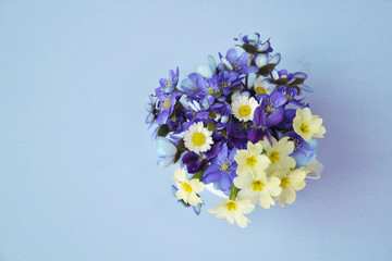 Bouquet of small blue spring flowers