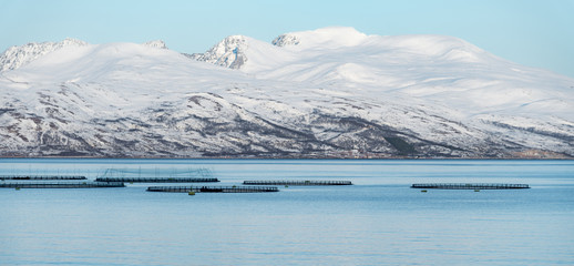 Fish farming in Norway