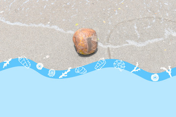 ビーチに転がるココナッツの写真、貝殻のイラスト