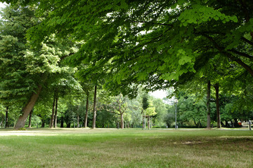 Fototapeta na wymiar Stadtpark als Erholungsort