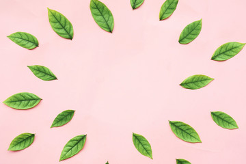 close up group of mini green leaves on soft pink  background 