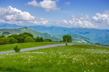 Isolated road in the countryside in spring time around Genoa (Genova) province, Italy.