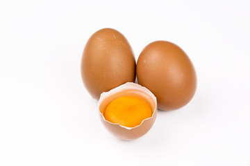 Chicken Eggs