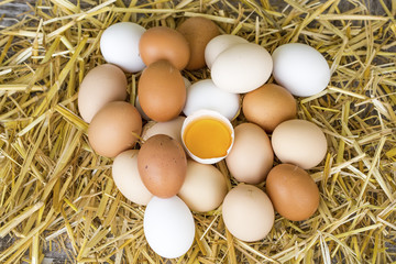 Eggs