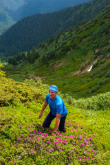 Smiling adventurer climbs among flowering rhododendrons