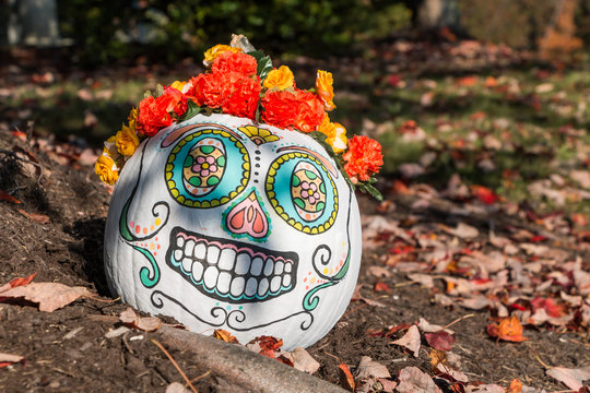 A day of the dead themed painted pumpkin sitting with fallen leaves on the ground.