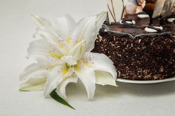 arge white lily and chocolate cake with powder on a light background