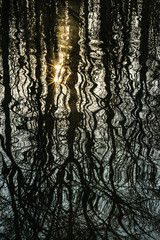 Fototapeta na wymiar Starburst Sun and Trees Reflected in Rippling Water