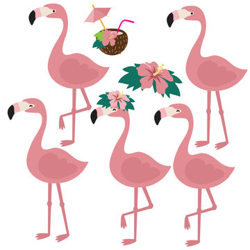 Cute flamingo vector cartoon illustration