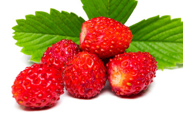 Wild strawberry isolated on white background closeup
