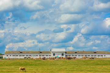 white clouds over the stables against the blue sky