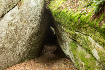 Huge rocks in the forest