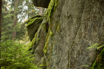 Huge rocks in the forest