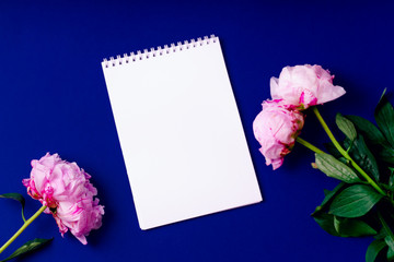Flat lay composition with peons and empty notepad with copy space on blue background. Top view, colorful workspace concept