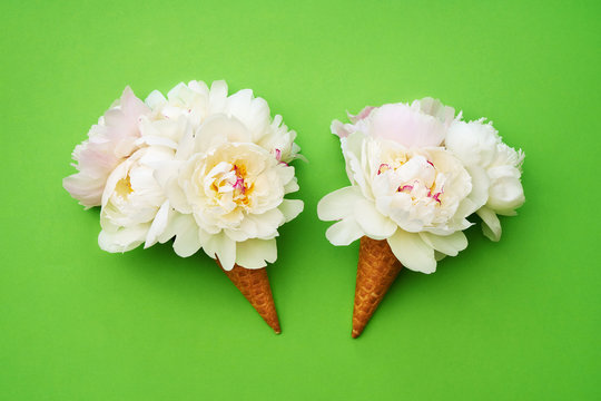 Two waffle ice cream cones with white peony flowers on green background. Summer concept. Copy space, top view.