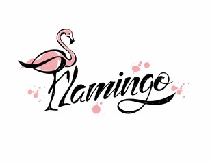 Flamingo. Lettering. Stylish inscription.Blots. Vector.