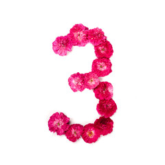 number 3 of flowers of a red and pink rose on a white background. A typographic element for design. Flower figurines