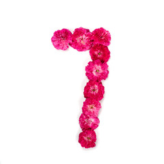 число 7 из цветов красной и розовой розы на белом фоне. Типографический элемент для дизайна. Цветочные числа, цифры, изолят, изолированный