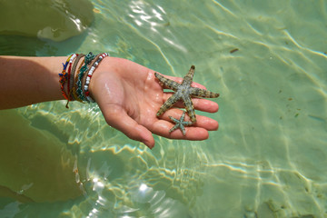 Star Fish in a girls Hand