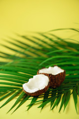 Coconut over tropical green palm leaves on yellow background. Copy space. Pop art design, creative summer concept. Raw vegan food.