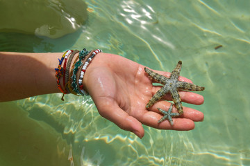 Star Fish in hand of a girl