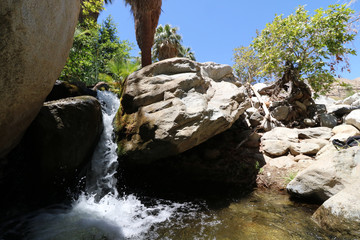 Fototapeta na wymiar Waterfall in Desert Oasis