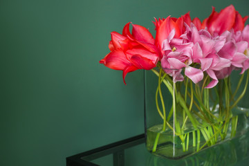 Glass vase with beautiful tulips on table against color background