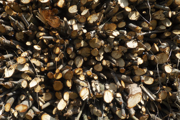 Pieces of different sizes are forming this wood pile of chopped pieces of pine, oak and other trees, ready to be burned into the fireplace during winter time.
