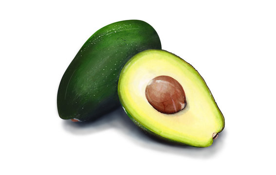 Watercolor illustration of avocado.