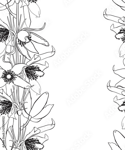 Hand Drawn Vintage Floral Seamless Pattern Black And White Stock Vector Illustration