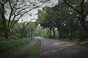 Fototapeta na wymiar Empty stone brick walk way path with green grass and tree in public park