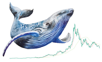 Business graph with whale. Candle stick graph chart. Economy trends background for business idea and all art work design. Crypto market quotes on display.