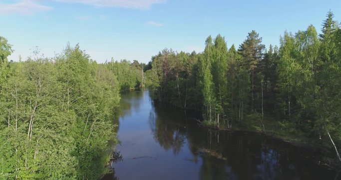 Aerial footage of low altitude flight iver the river. Green trees, summer nature landscape.