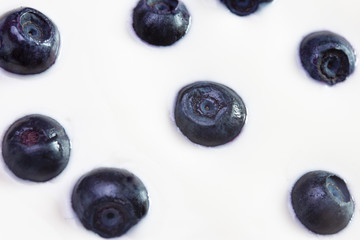 Blueberries blueberries in swim in cream
