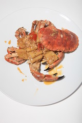 Paccheri with creamy crab sauce, Italian food style