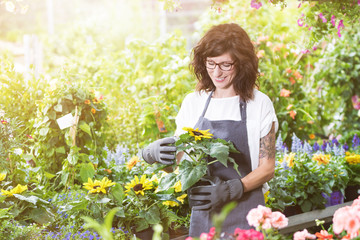Gärtnerin im Gartencenter mit einem Topf Sonnenblumen im Sonnenlicht