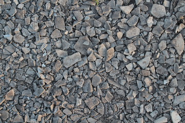 Scattered slate on the ground