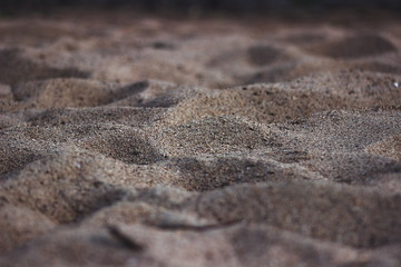 golden sand dunes. macro effect on the beach