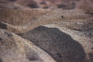 golden sand dunes. macro effect on the beach