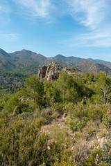 The desert of the palms under the blue sky