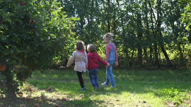 Children hold hands walking in the apple tree garden