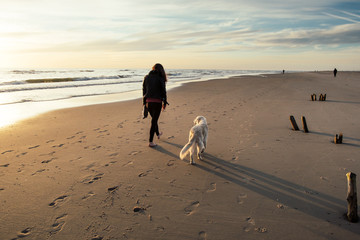 Strandspaziergang mit Hund