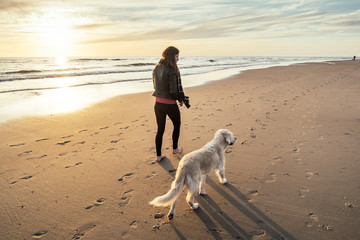Strandspaziergang mit Hund