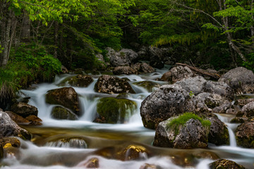 Tranquillo flusso d'acqua delle piccole cascate vicine alla sorgente del fiume Isonzo, ne Parco...