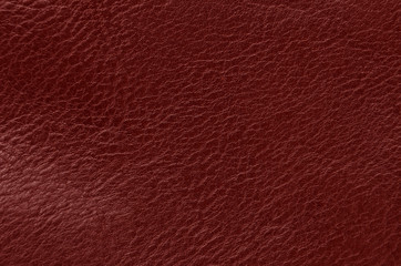 Fototapeta premium Natural leather background