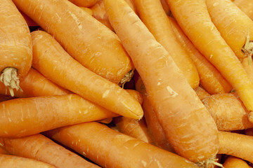 A fresh washed carrot is laid out in a display case.