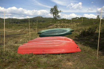 Rote Boote, grüne Kanus