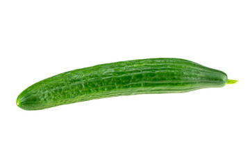One ripe green cucumber isolated on white background.