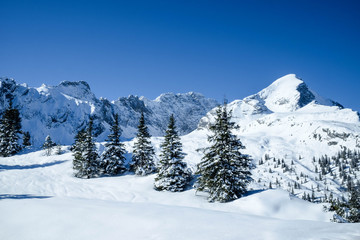 Winter am Stuiben