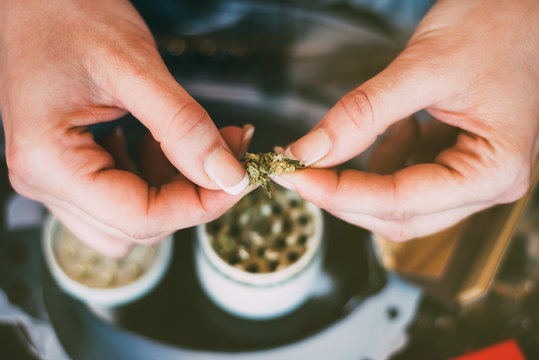 Woman preparing marijuana cannabis joint